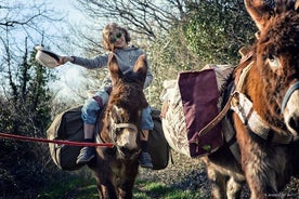 Spaziergänge und Wanderungen mit Eseln