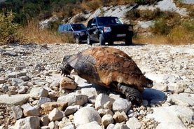 Ontdek meer op de Corfu Noord-route