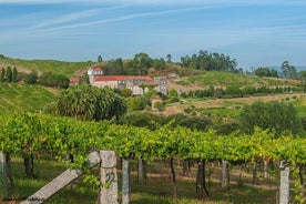 Albariño 小径从 Vigo 出发的私人葡萄酒之旅/海岸游览