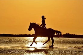 Horse Riding in Manavgat Side Forest and Beach