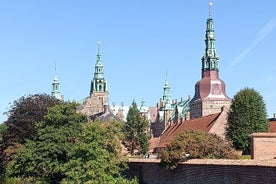 Visite du château, du palais, de la cathédrale et des navires vikings