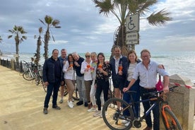 3-stündige private geführte Fahrradtour in Marbella