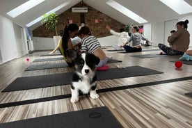 Puppy Yoga in Riga