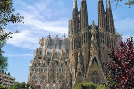 Sagrada Familia: Fast Track opastettu kierros valinnaisella tornilla