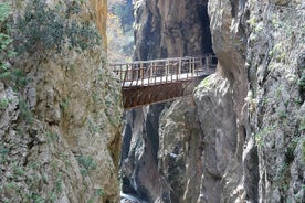 Crossing the Gorge of Vouraikos -Private food, wine, culture tour in Achaia