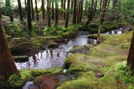 Trasferimenti dell'isola di Terceira | Azzorre