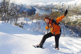 Raquetas de nieve: excursión de un día en invierno en Bodo, norte de Noruega