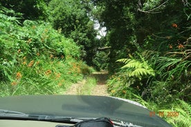 Private Full Day Off-Road Tour in Madeira