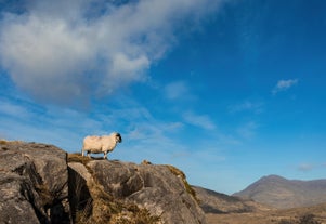 Exploring Ireland in July: Discover the Best of Summer