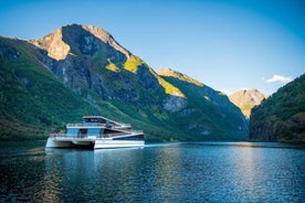 Bergen: Nærøyfjord Cruise and Flåm Railway Ride to Oslo