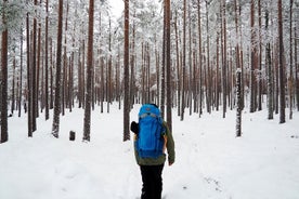 Caminata invernal por el país de las maravillas en un parque nacional