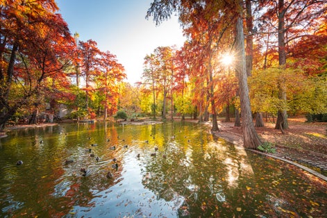 Autumn morning sunrise in Carol Park from Bucharest with amazing fall coloured tree leaves and blue sky