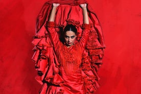 Admission to flamenco show "Pasión"