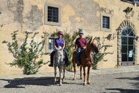 Balade à cheval privée de 3 heures dans un château pour le déjeuner et la dégustation de vin