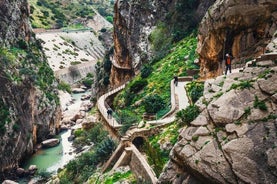 Excursion privée à Caminito del Rey au départ de Malaga et des environs