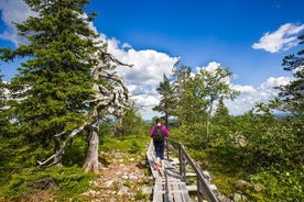 Dagsferð til Korouoma Canyon frá Rovaniemi