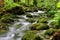 Gorges du Pichoux, Sornetan, Petit-Val, Bernese Jura administrative district, Bernese Jura administrative region, Bern, Switzerland