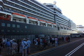 Depuis le port de Civitavecchia avec les musées du Vatican et un guide touristique