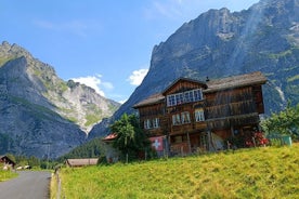 Tour de medio día por lo más destacado de Interlaken con un local en automóvil privado