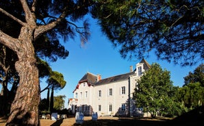 Chateau Piegue