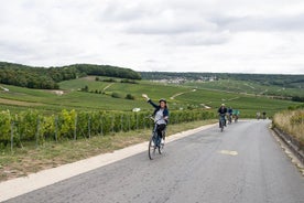 Vanuit Epernay Hele dag Elektrische fiets Champagne en lunch