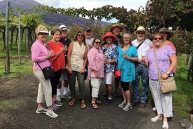 Tour privato della Costiera Amalfitana e di Pompei per famiglie, da Sorrento