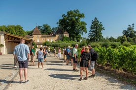 Halve dagtrip met wijnproeverij in de wijngaarden van Bordeaux