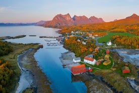 Silent Coastal Cruise to Kjerringøy