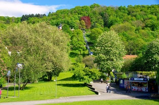 Stadtgarten Freiburg