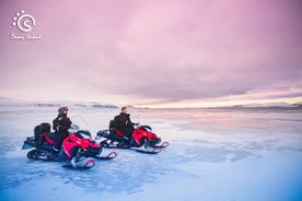 Njóttu staðbundins uppáhalds á einum degi