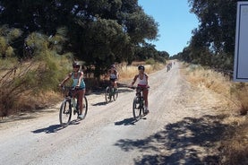 VTT (autoguidé) Setenil de las Bodegas - 30 km facile