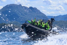 Klassisk safari på Lysefjorden