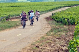 1 journée en vélo électrique et visite viticole en Côte de Nuits