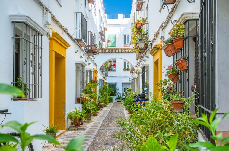 photo of view of Scenic sight in the picturesque Cordoba jewish quarter. Andalusia, Spain.