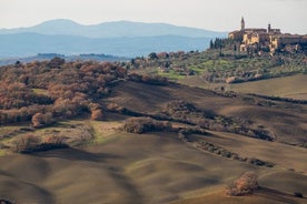 Privérondleiding door Pienza te voet