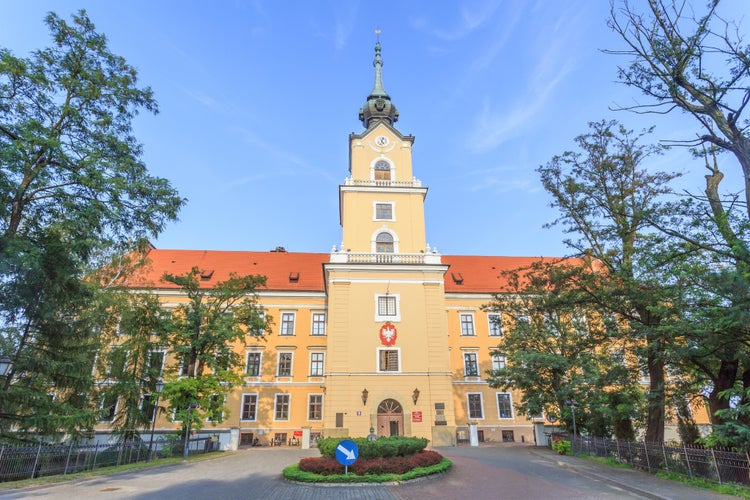 Photo of historic Lubomirski Castle, main entrance with tower.