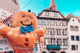 Begeleide wandeling in Straatsburg tussen geschiedenis en bezienswaardigheden