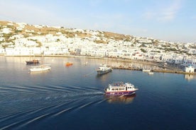 Halve dag Delos-rondleiding door Mykonos vanuit de cruiseschiphaven