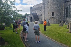 Tour privado a pie por Kilkenny. inglés, francés o alemán