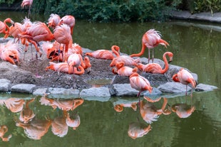 Blackpool Zoo