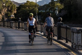 Visite en vélo électrique du plus haut sommet de Malaga: village blanc d'Olias et El Palo