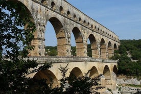 Excursión de un día en grupo pequeño a Saint Remy, Les Baux y Pont du Gard