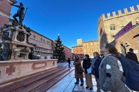 Bologna: Historical Highlights Walking Tour with Local Guide