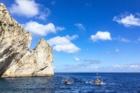 Yksityinen Caprin ja Anacaprin kiertue Sorrentosta