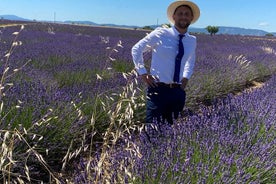 Tour privado de descubrimiento de lavanda en Provenza