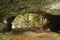 photo of Zugarramurdi caves with lots of vegetation and a river in the background in Spain.