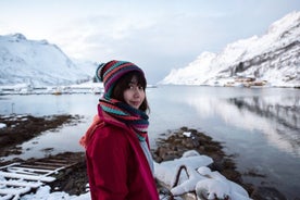 Visite en petit groupe en hiver à la découverte des paysages de l'Arctique au départ de Tromsø