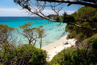 Photo of view of beautiful sandy Campulongu beach, Sardinia island, Italy.