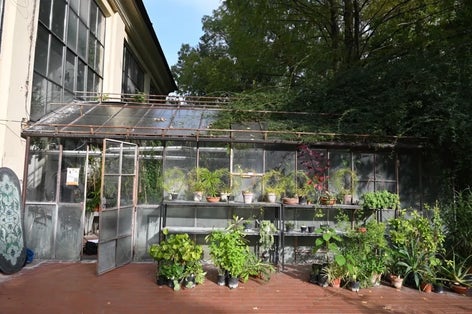 photo of view of Botanical Garden of Parma, Italy.