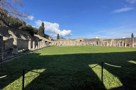  Guided Tour Pompeii And Vesuvius from Positano Skip the Line